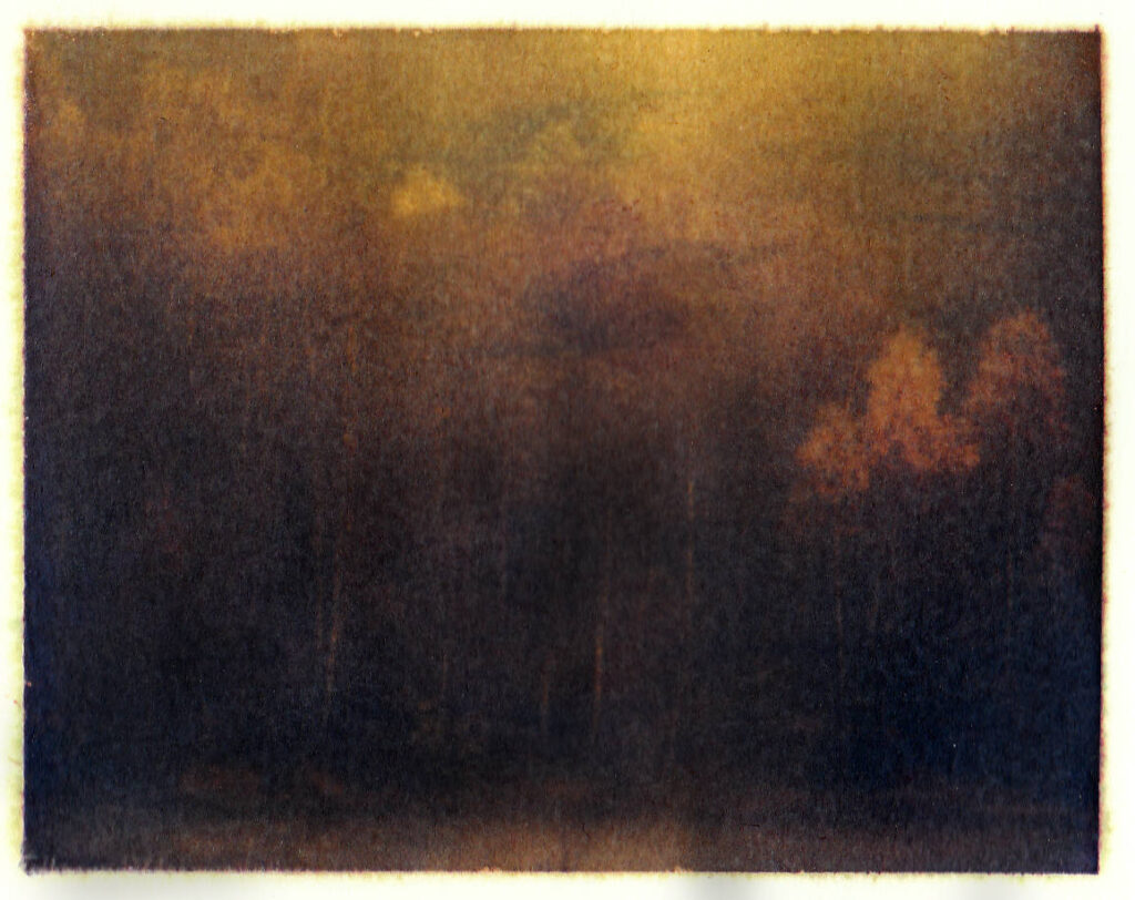 Wood 1