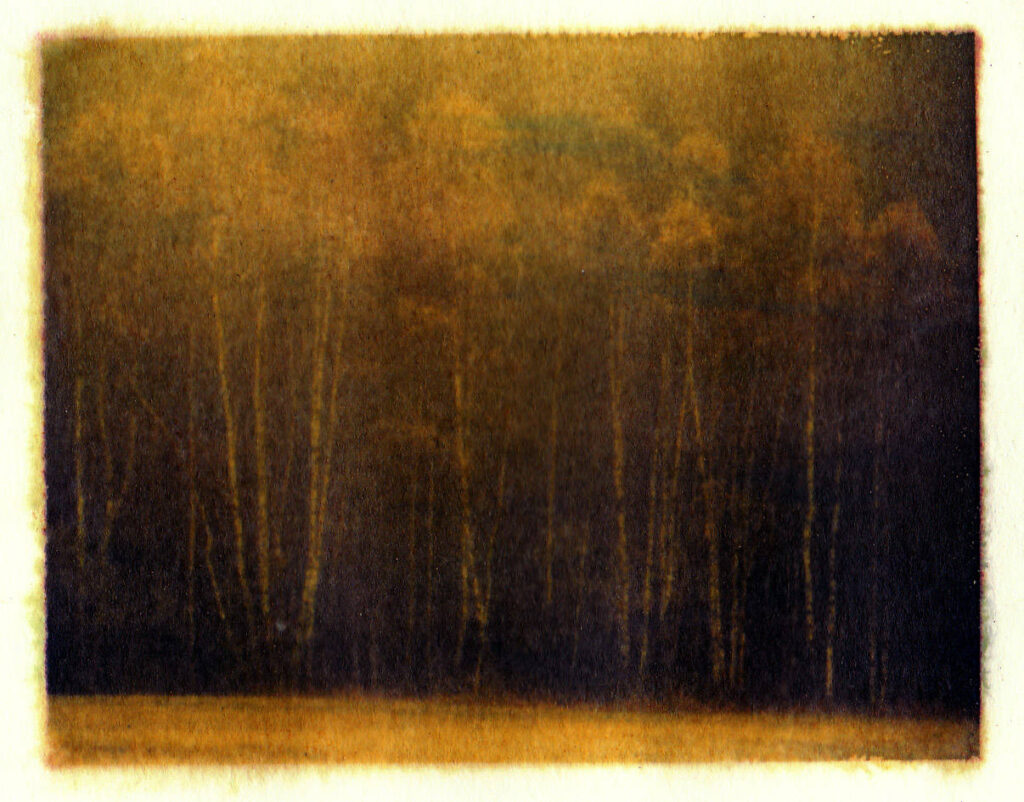 Wood 2